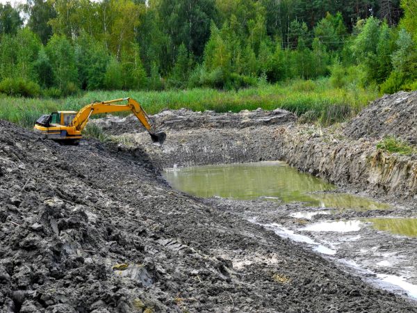 Fish Pond Digging in Duluth